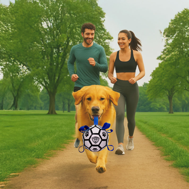 Pro Ball Pets Dog Soccer Ball with Grab Tabs, Size 2, 6 inches, White/Blue - 1076