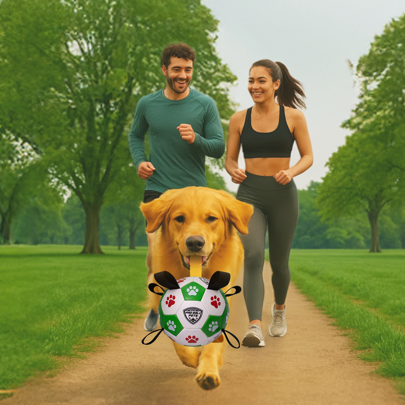 Pro Ball Pets Dog Soccer Ball with Grab Tabs, Size 2, 6 inches, Green/Red - 1209