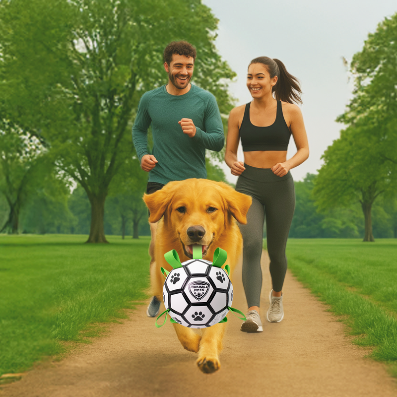 Pro Ball Pets Dog Soccer Ball with Grab Tabs, Size 3, 7 inches, White/Green - 1219