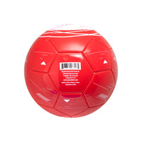 Liverpool FC Soccer Ball, Size 5, Maccabi Art